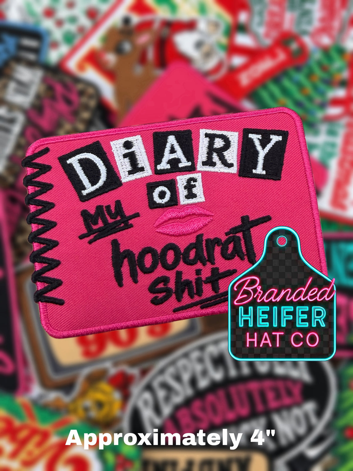 DIARY OF MY HOOD RAT SHIT  | EMBROIDERED HAT PATCH